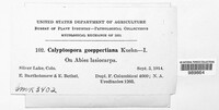 Image Associated With the Occurence